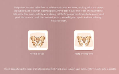 Pelvic Muscle Exercise Trainer - LIONPEACE